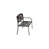 2 Person Texas Star Patriotic USA Flag Outdoor Metal Garden Bench in Bronze