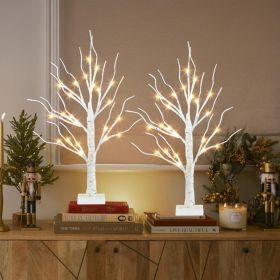 Home Decor, 2FT Birch Tree With LED Lights Warm White Light Up Tree (Option: White)